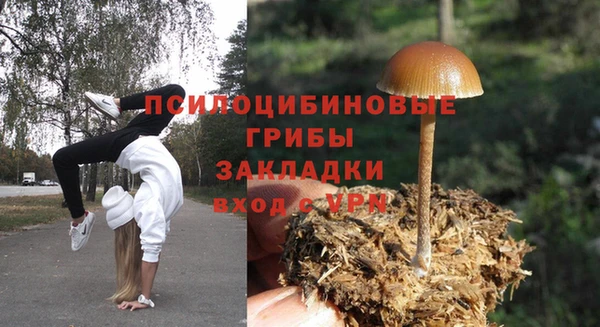 амф Баксан