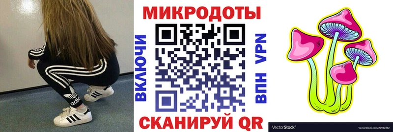 наркошоп  Губкинский  Псилоцибиновые грибы Psilocybe 